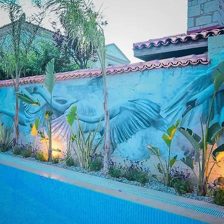 Rhodium אלאקאטי